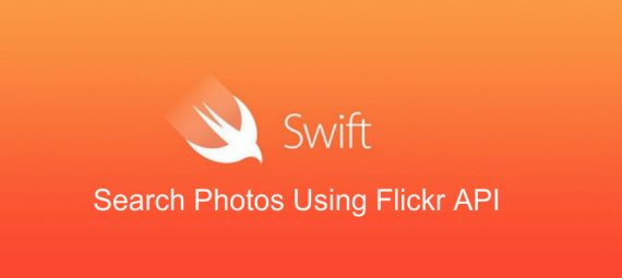 Search Photos Using Flickr API