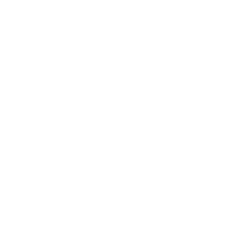 Custom Healthcare Software Development Custom Healthcare Software Development